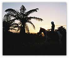 Sunset ride