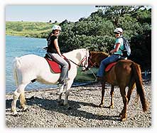 Paddling with the horses
