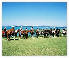 Horseback Riding Paihia
